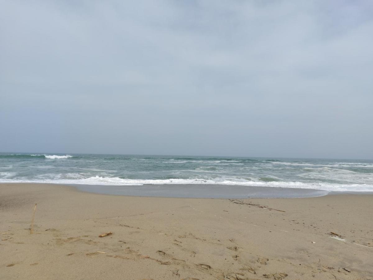Saint Cyprien - Appart - Piscine-Mer Eksteriør bilde